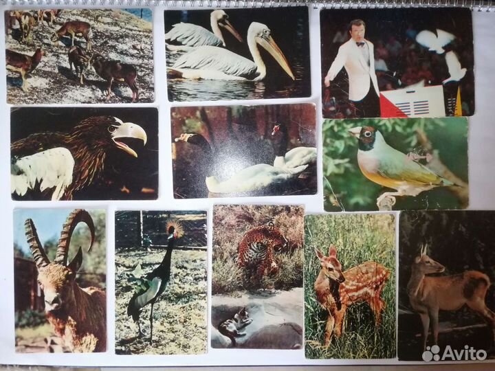 Открытки, конверты СССР