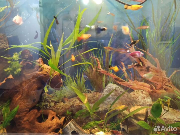 Большой Аквариум с фильтром, крышкой