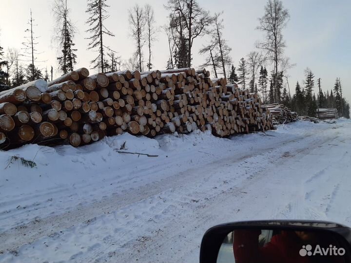 Круглый лес Лиственница, Сосна, Ель, Пихта D 14-30