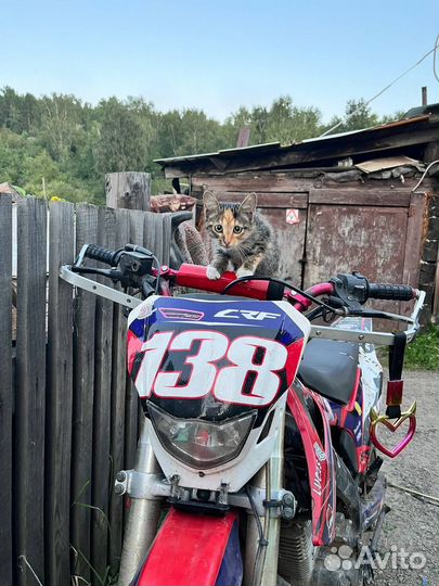 Regulmoto003 2019