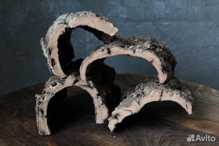 Готовый набор для эублефара