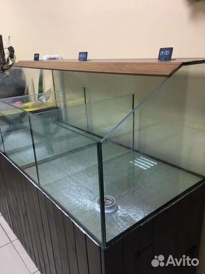 Аквариум для раков и живой рыбы