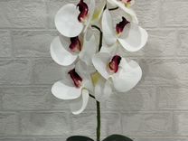 Орхидеи искусственные