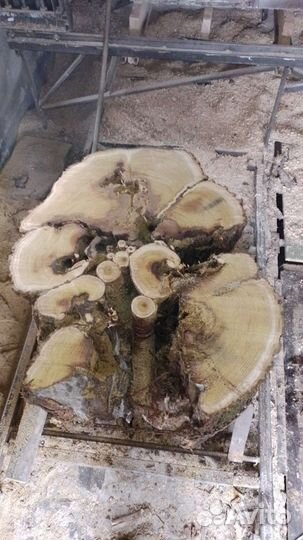 Поперечные спилы