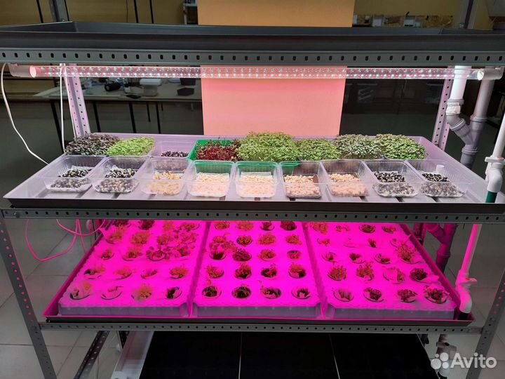 Домашняя мини-ферма для выращивания