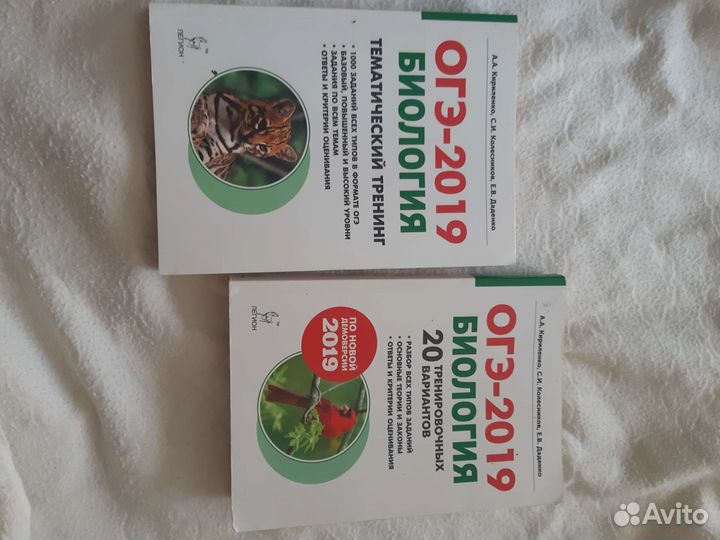 Подготовка к огэ