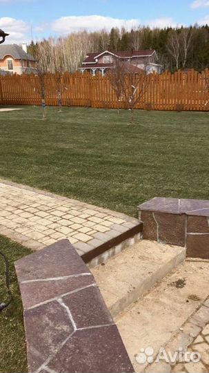 Рулонный газон