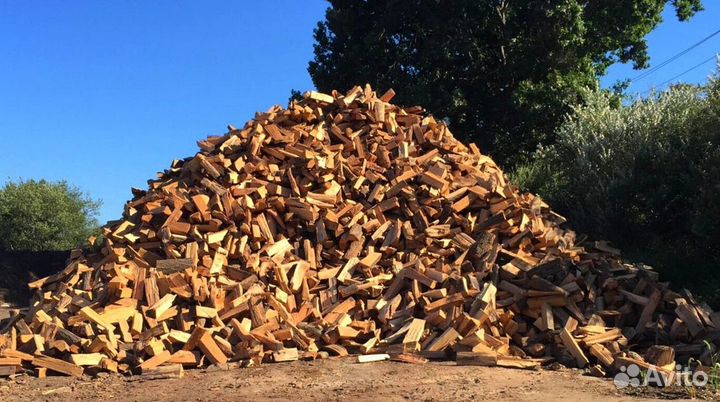 Дрова осина