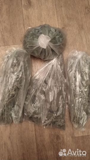 Мята,2 сорта + мелисса