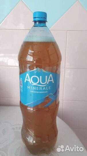 Чайный гриб (комбуча), тибетский (кефирный) гриб