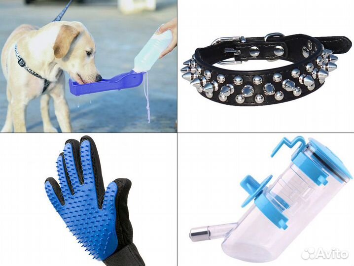 Ошейники и аксессуары для собак