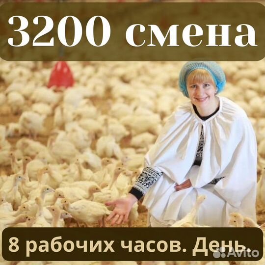 Вахта Пенза бесплатно из Самары вакцинатор