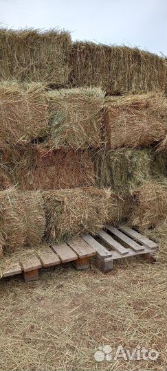 Сено в тюках
