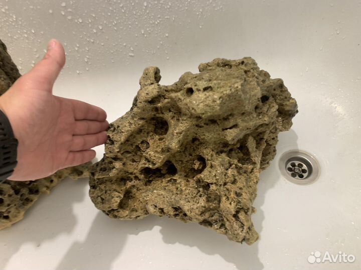 Камень песчанник в аквариум
