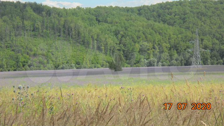 Участок 101 га (СНТ, ДНП)