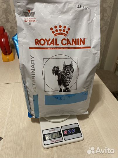 Royal canin skin coat