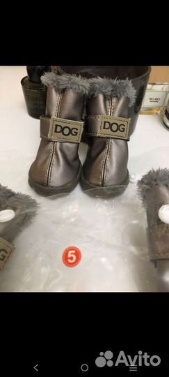 Зимняя обувь для собак