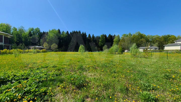 Участок 31,7 сот. (СНТ, ДНП)