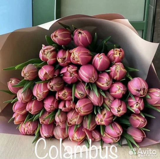 Тюльпаны к 8 марта опт и розница