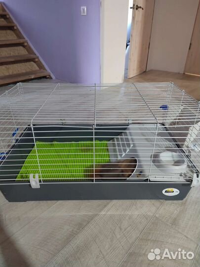 Клетка для грызунов