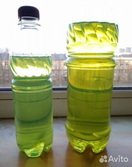 Дизельное топливо оптом