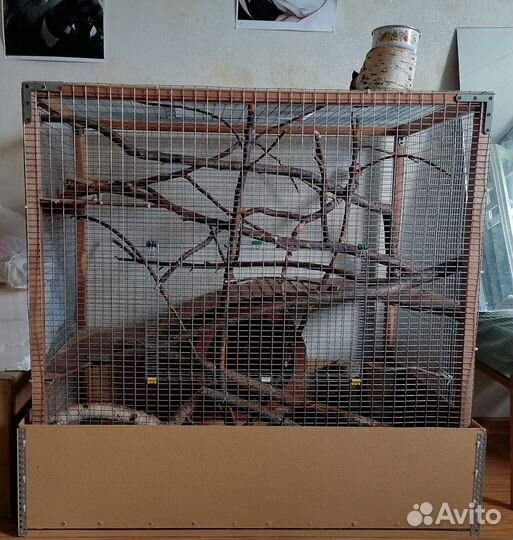 Клетка для грызунов очень большая