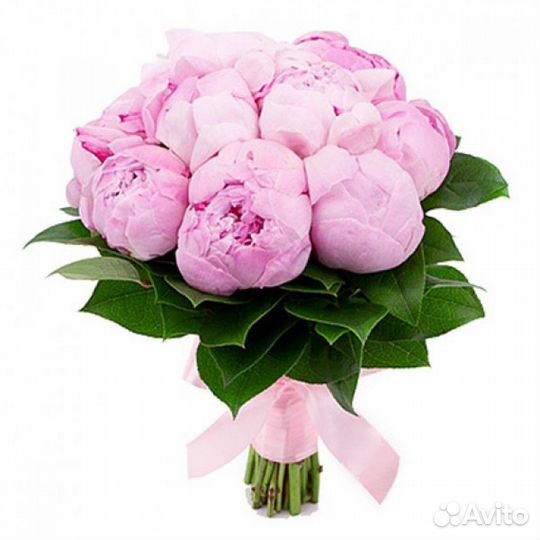 Розы Цветы Букеты с доставкой 33 51 75 по Сургуту