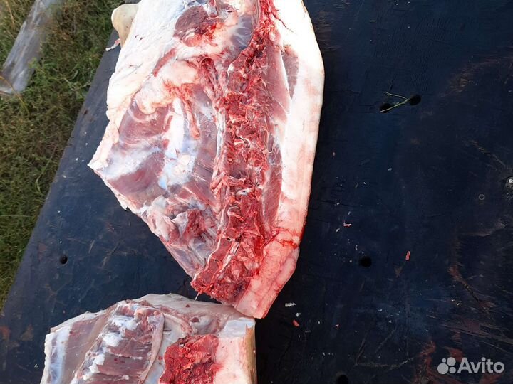 Продам сало свинины