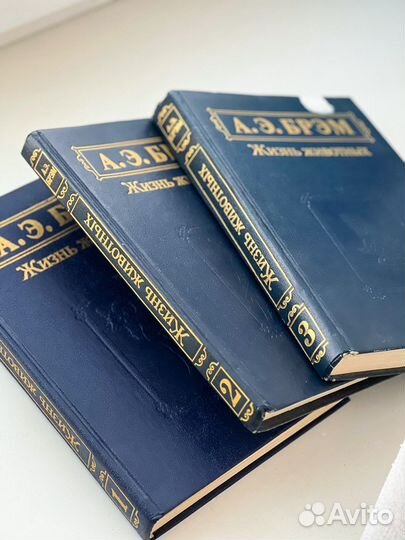 Брэм жизнь животных