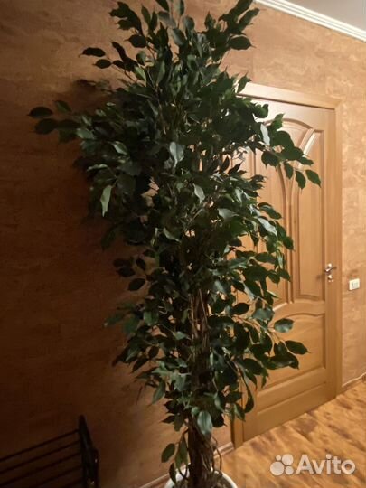 Искусственное дерево в горшке