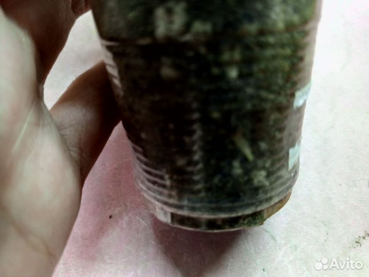 Эпипремнум хэппи лиф