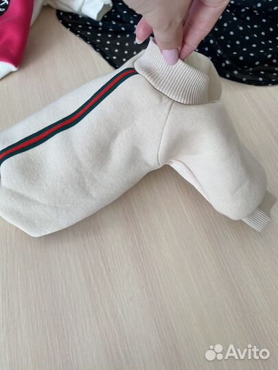 Худи для собак