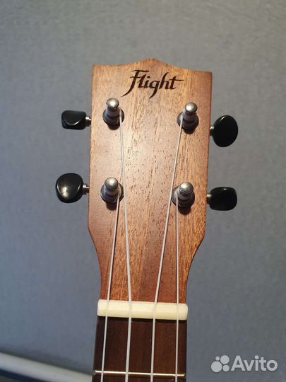 Укулеле flight концерт