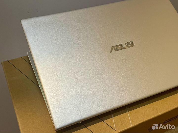 Asus 14