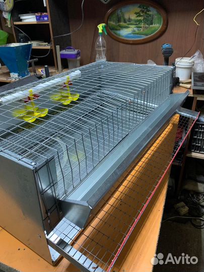 Клетки для перепелов