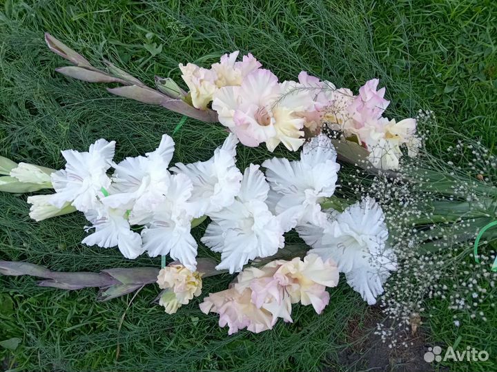 Букеты цветов