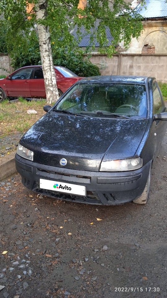 FIAT Punto: фото владельца