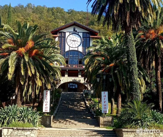 Индивидуальная экскурсия в Абхазию