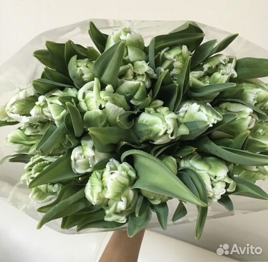 Тюльпаны цветы доставка