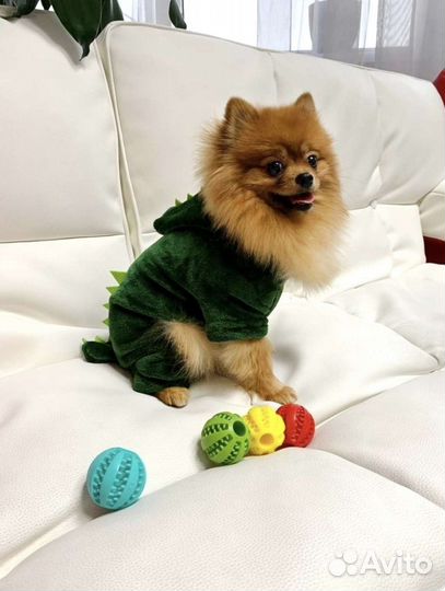 Костюмчик флисовый для собачки, кошки