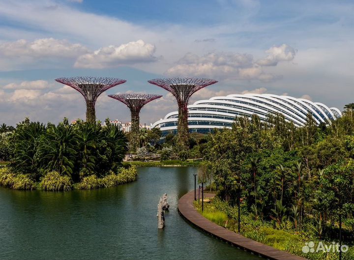 Турпоездка Сингапур на 9 ночей от. 3-4* завтрак