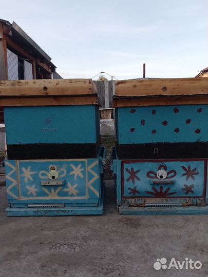 Ульи для пчел