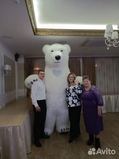 Белый медведь, шоу на праздник, аниматор