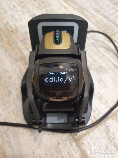 Робот Anki Vector