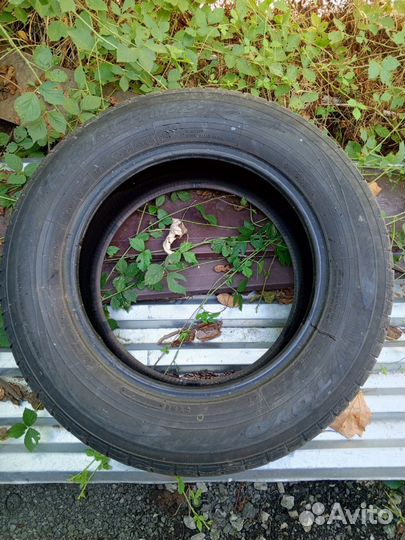 Toyo Tranpath MPZ 215/65 R16 98H