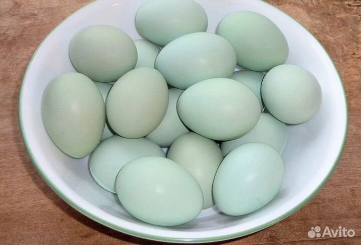 Домашние куриные яйца.Кур породы Ухейулюй 1 дес