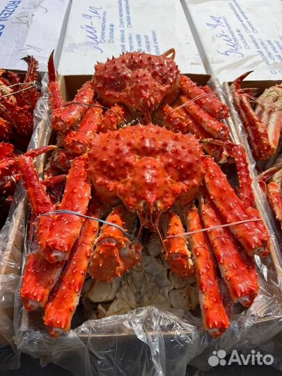 Морепродукты оптом. Краб, креветка, гребешок