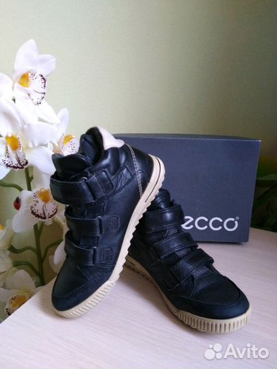 Полуботинки ecco