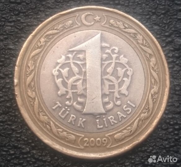 1 турецкая лира