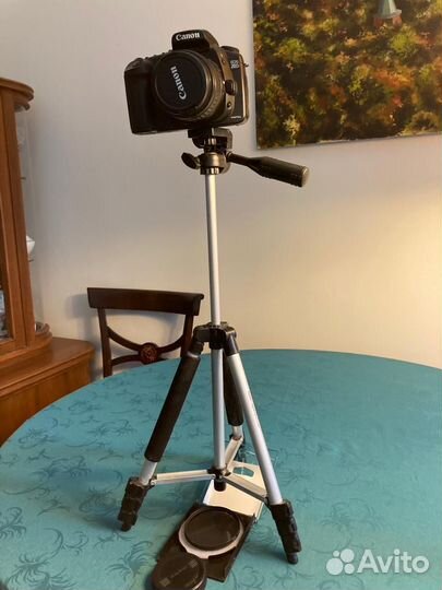 Цифровая зеркальная камера Canon DS 126061